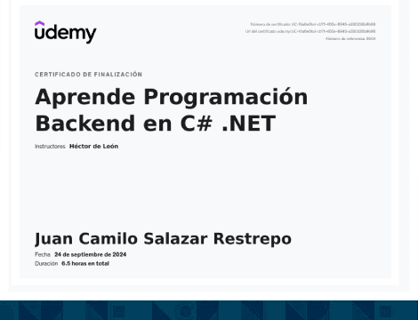 Programacion Backend con C# .NET 8